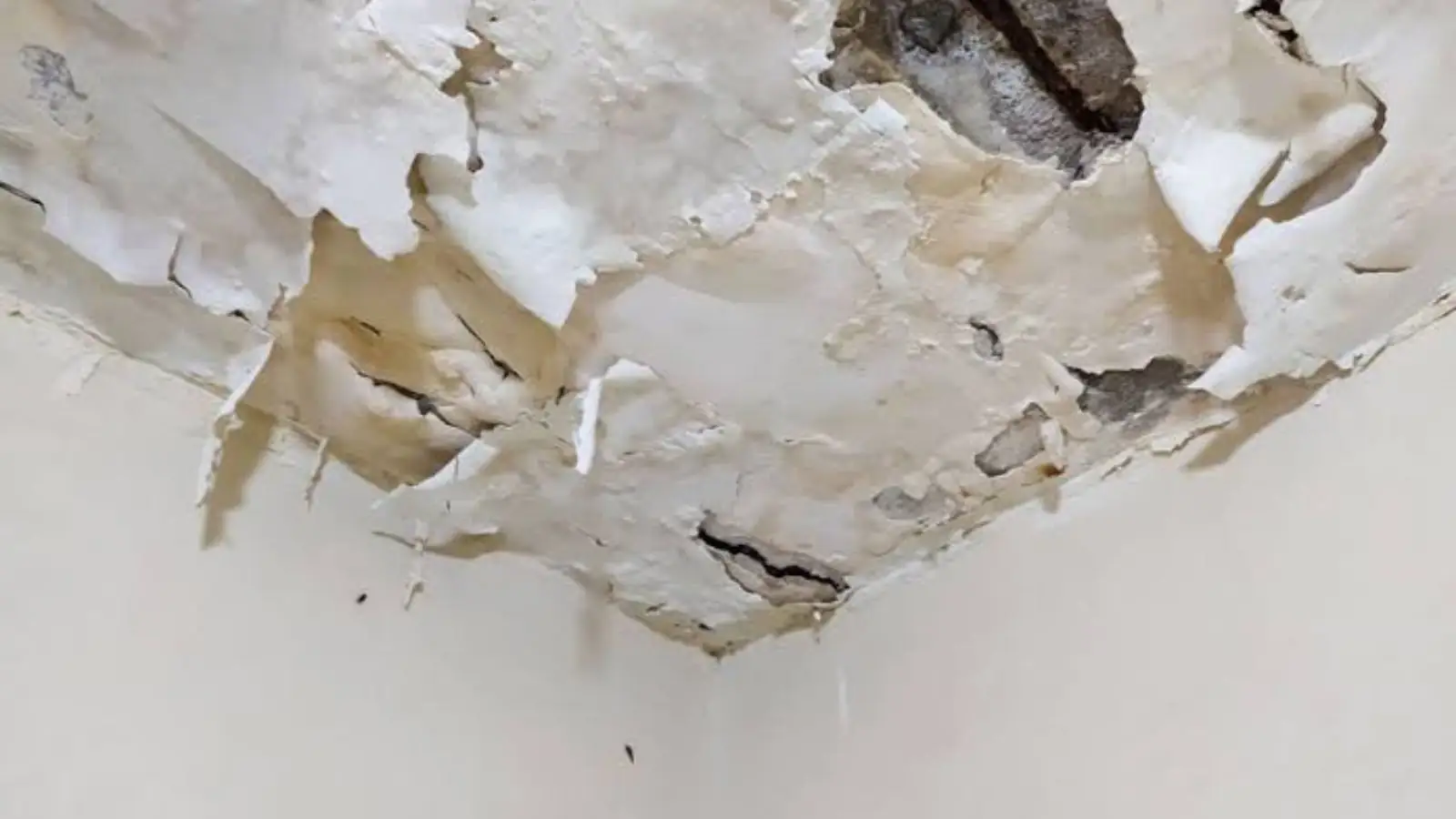 Peeling paint and a water stain on the corner of a ceiling